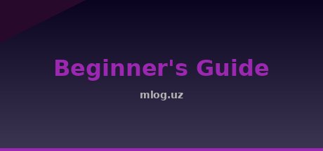 Beginner's Guide