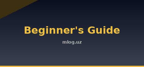 Beginner's Guide
