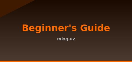 Beginner's Guide