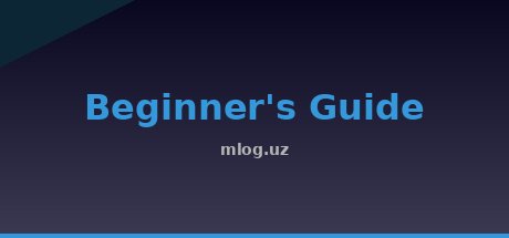 Beginner's Guide