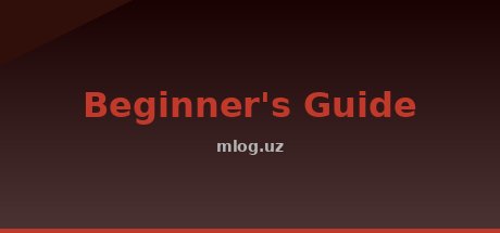 Beginner's Guide