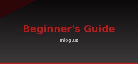 Beginner's Guide