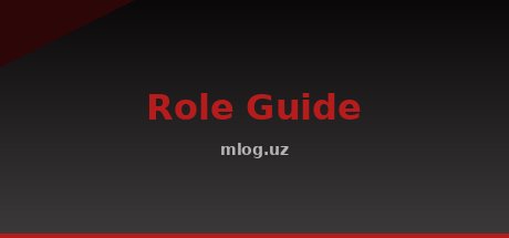 Role Guide
