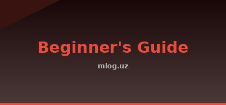 Beginner's Guide