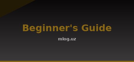 Beginner's Guide