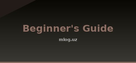 Beginner's Guide