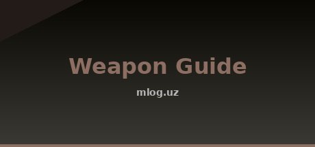 Weapon Guide