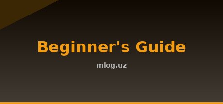 Beginner's Guide
