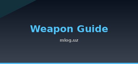Weapon Guide