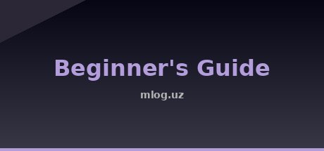 Beginner's Guide