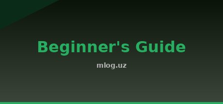 Beginner's Guide