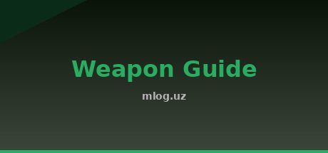 Weapon Guide