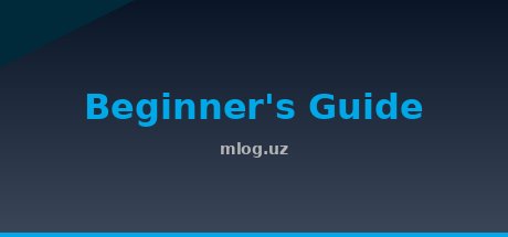 Beginner's Guide