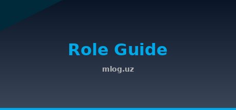 Role Guide