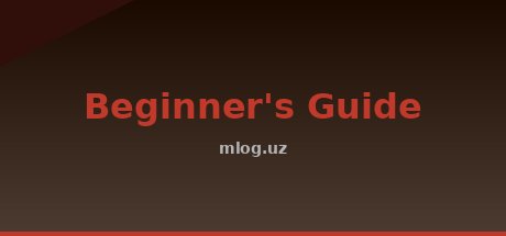 Beginner's Guide