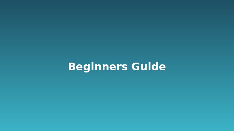 Beginner's Guide