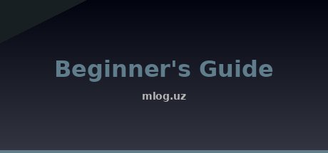 Beginner's Guide