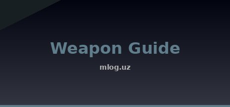 Weapon Guide