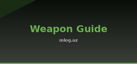 Weapon Guide