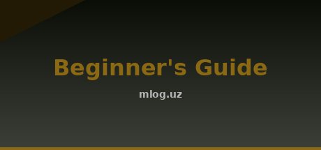 Beginner's Guide